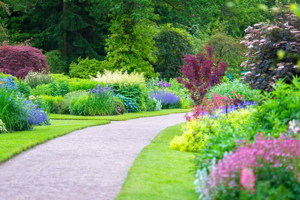 Images Superior Landscapes