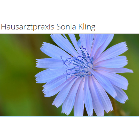 Logo Hausarztpraxis Sonja Kling