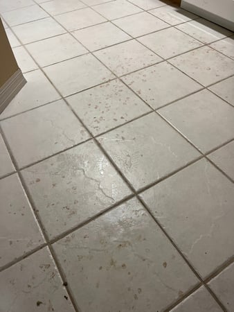 Images Voda Cleaning & Restoration