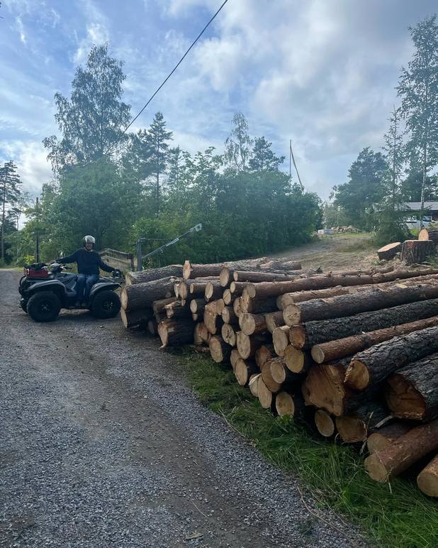 Images Trosa Trädfällning AB