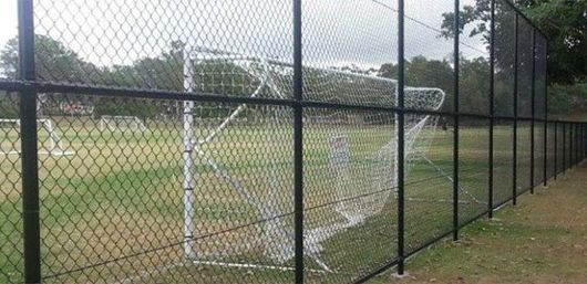 Images Sureline Fencing