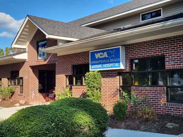 Images VCA Wrightsville Beach Animal Hospital