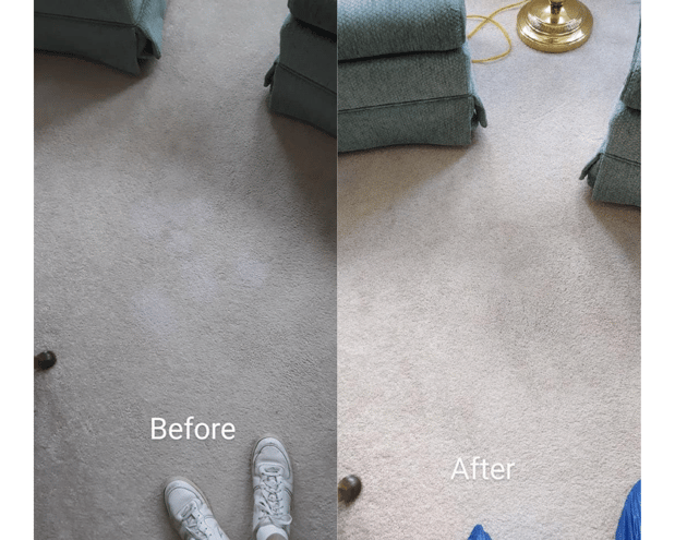 Images SaulClean - Carpet & Rug Dyeing