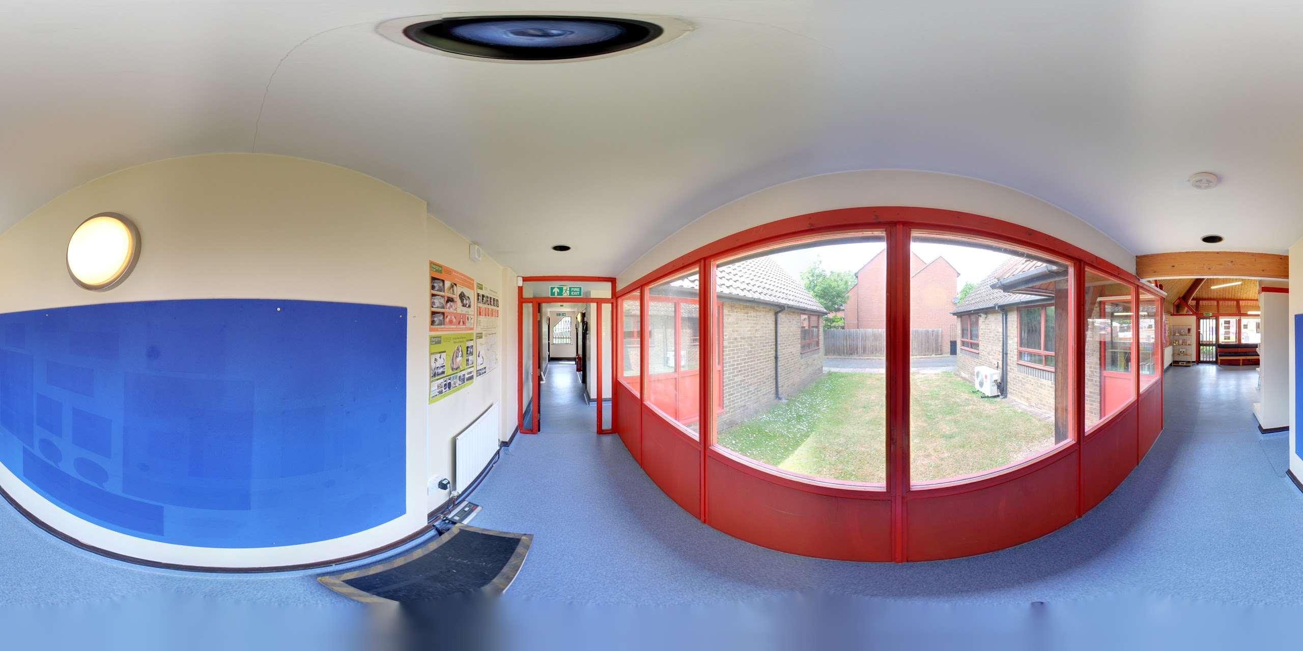Images The Animal Clinic