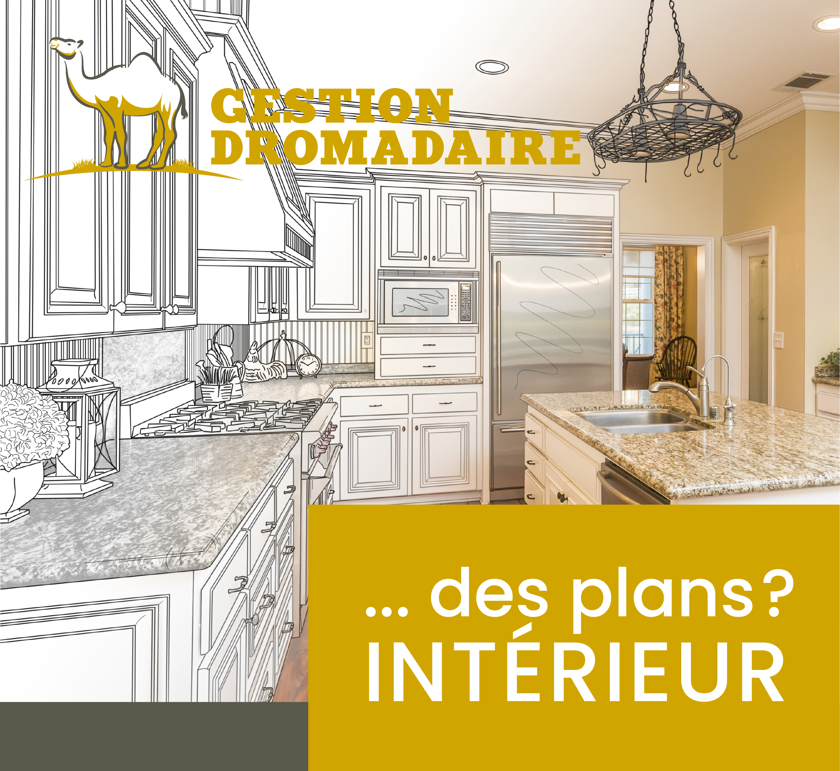 Images Gestion Dromadaire Inc