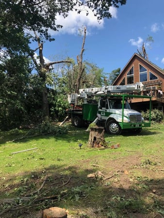 Images JCE Tree Service