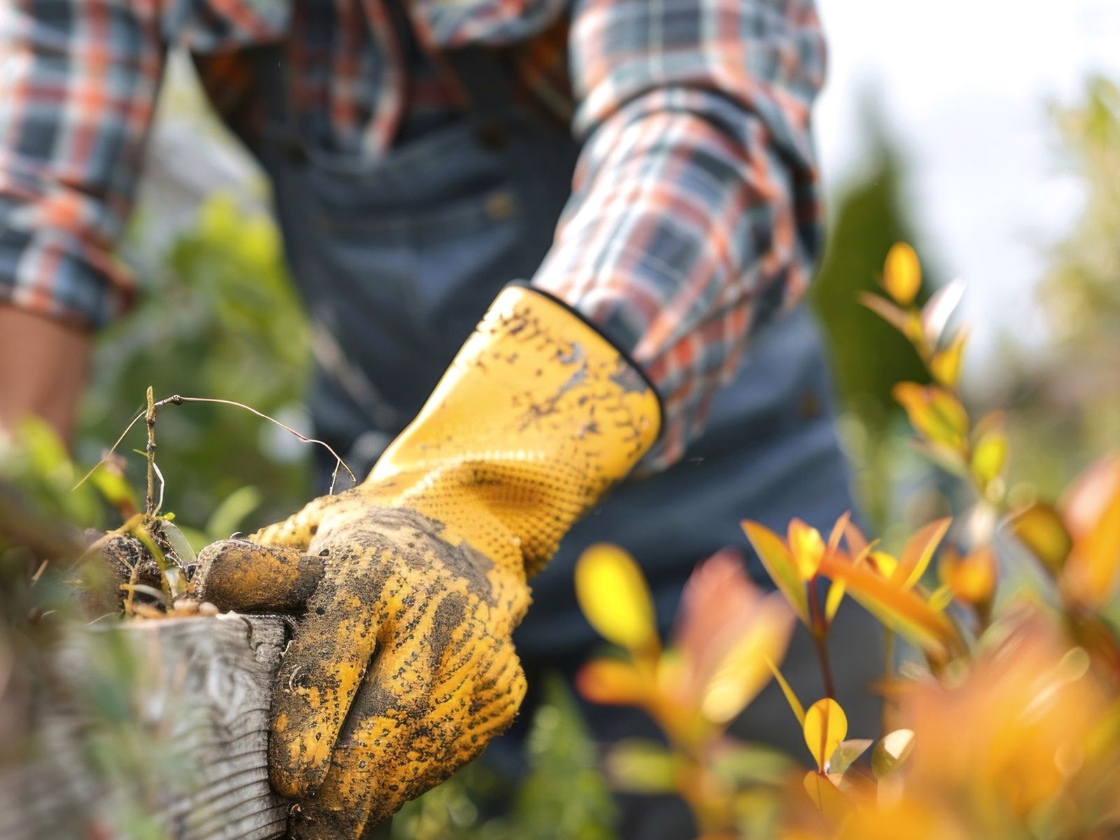 Jem Tree Service and Contracting Logo