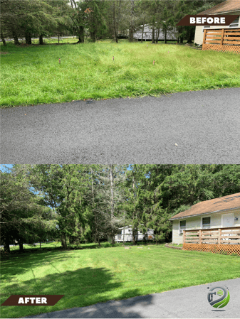 Images Marian's Grass Cutting Services