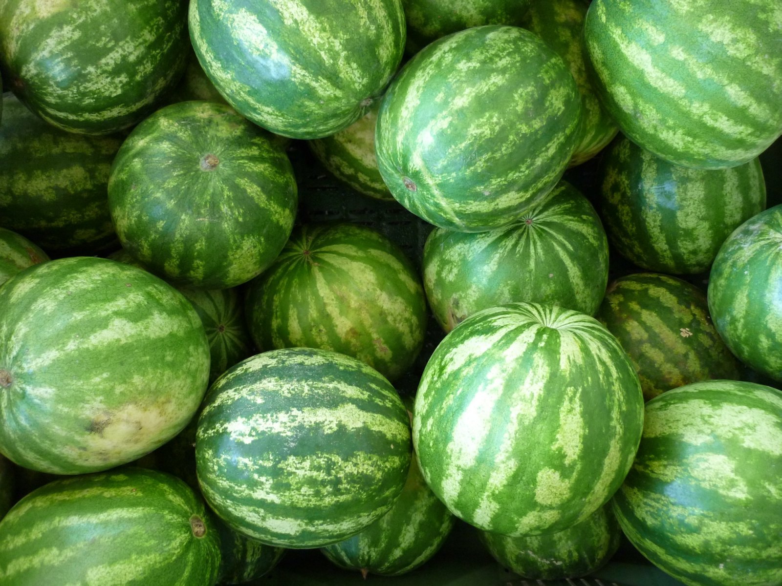 Images Artoner Fructcenter Kft.