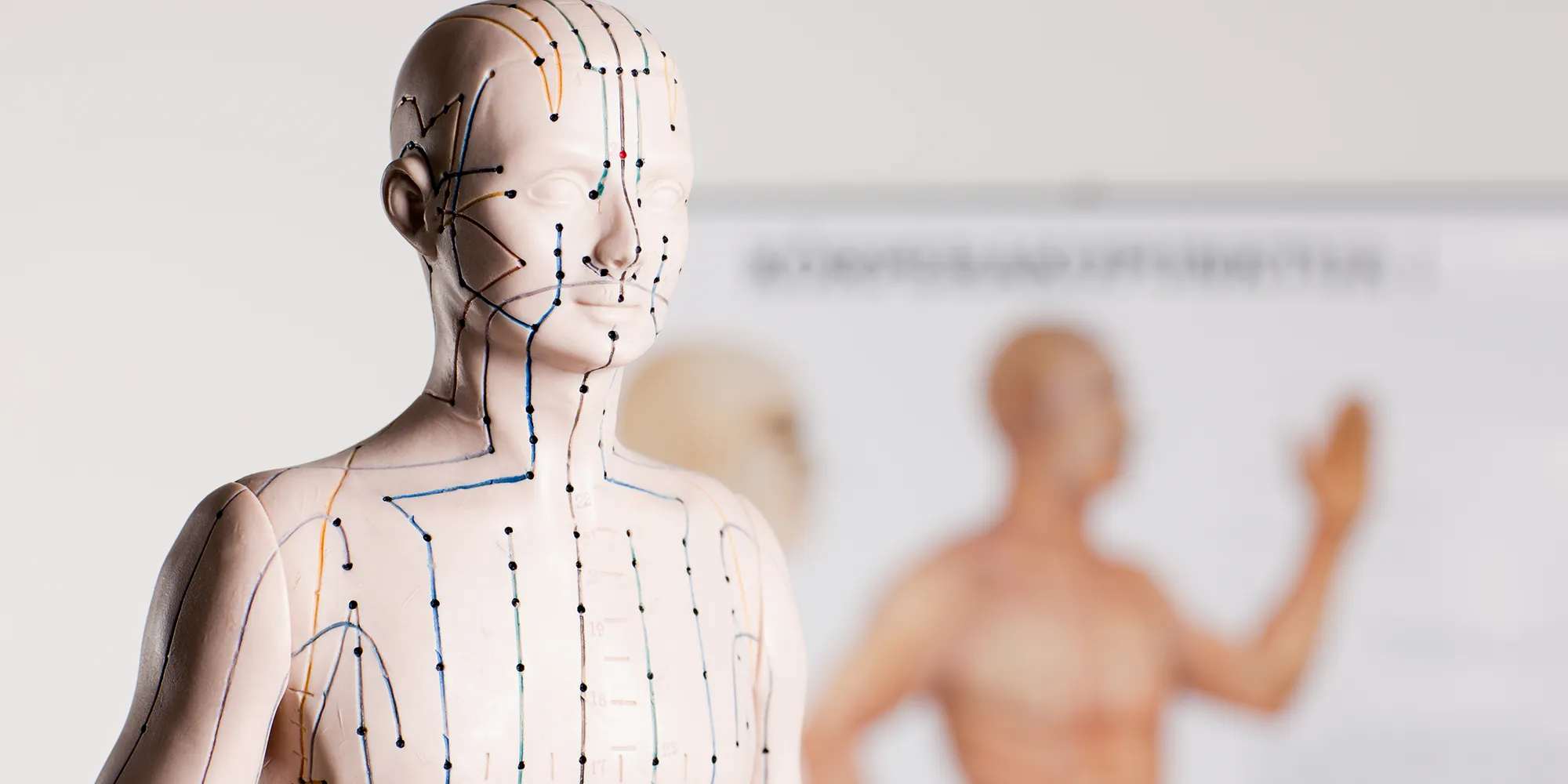 Bild 4 von Dipl. Kinesiologin Karin Rainer