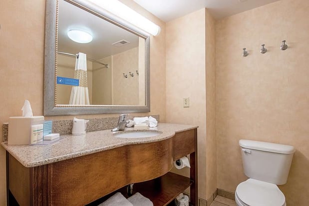Images Hampton Inn Pine Grove