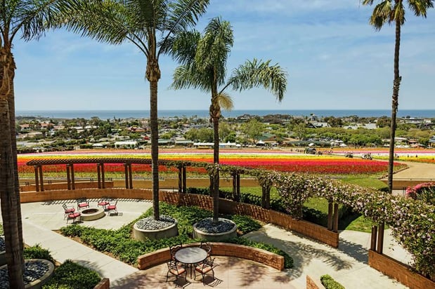 Images The Cassara Carlsbad, Tapestry Collection by Hilton
