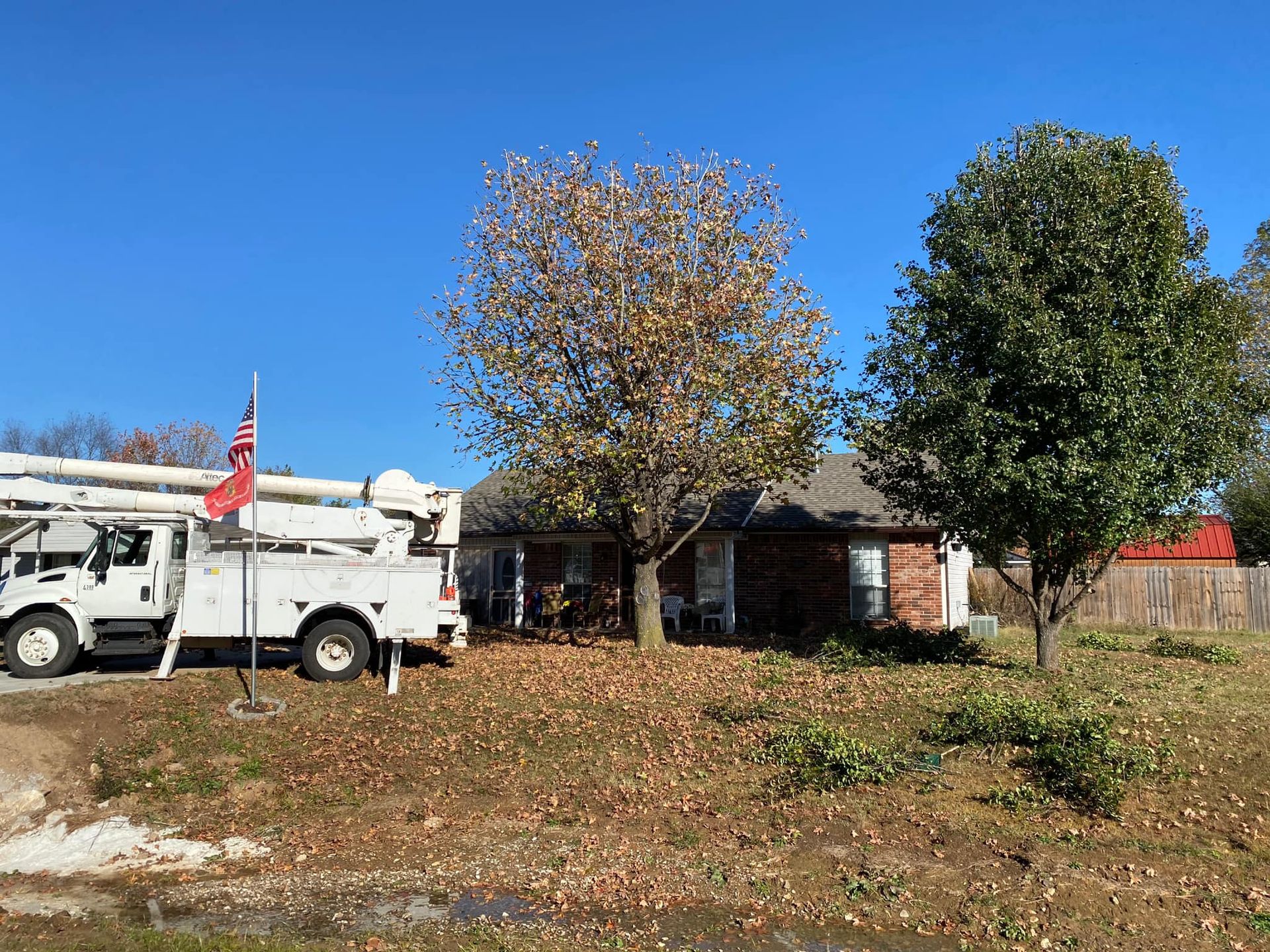 Down Rite Tree Service Image