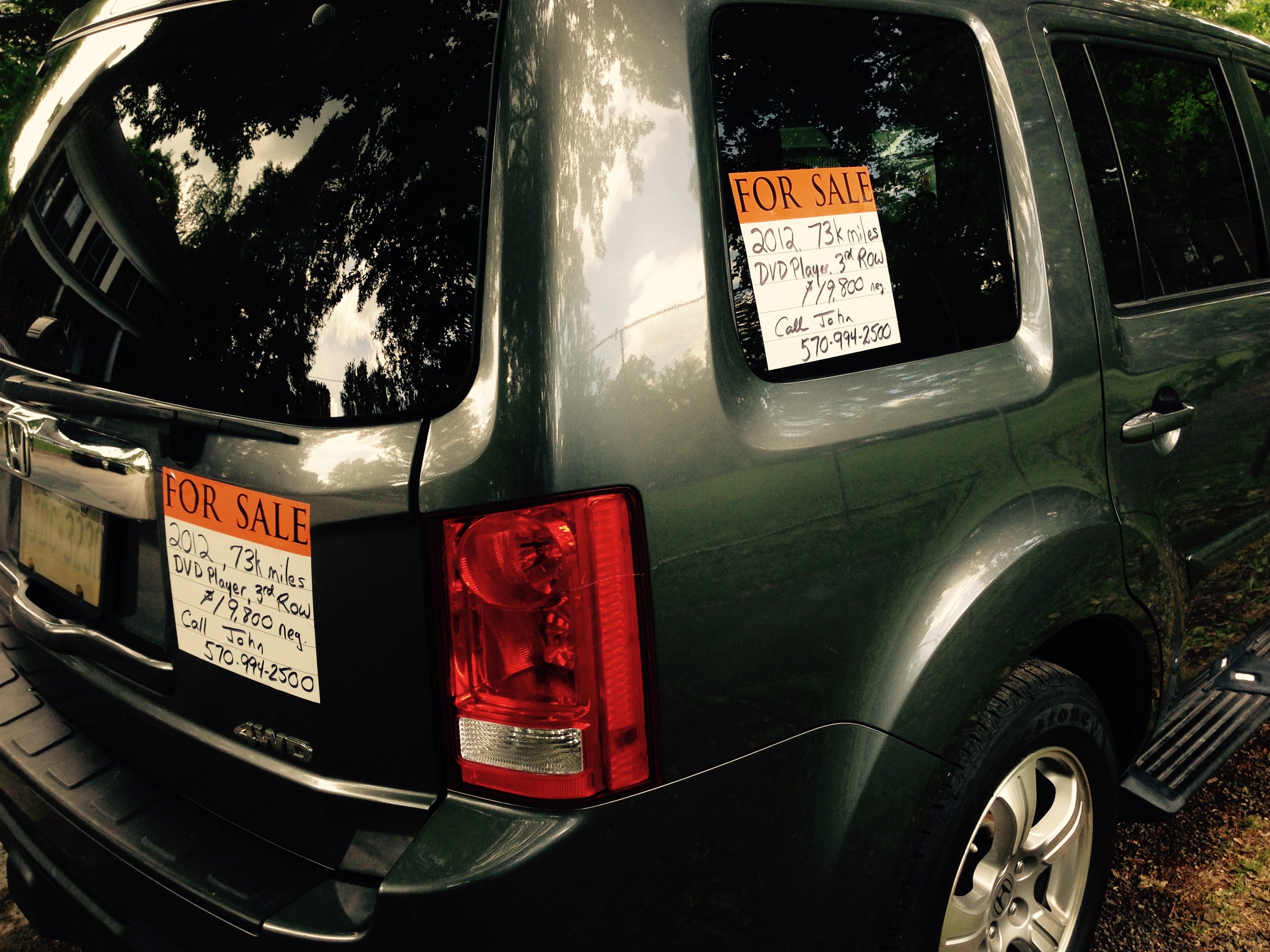 LupoCal Removable Decals