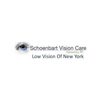 Low Vision of New York Logo