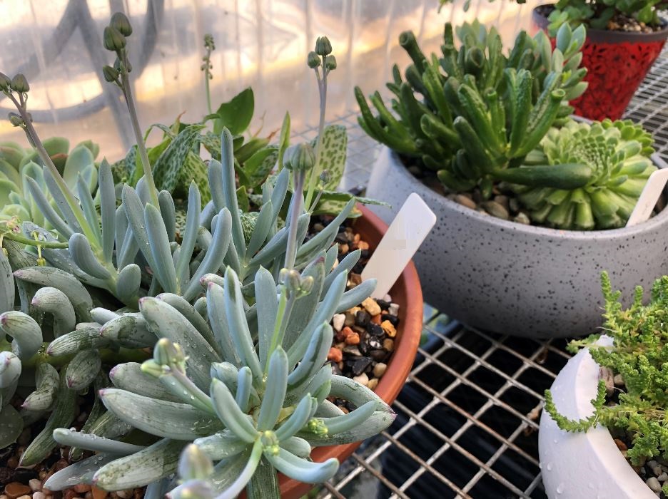 Images Glenvue Nursery