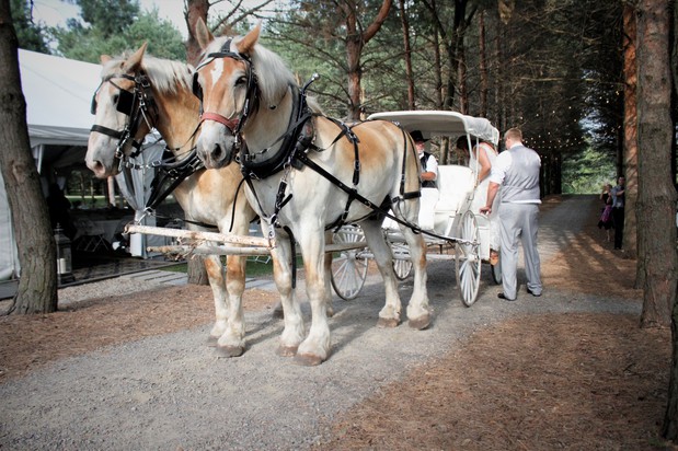 Images Stonewall Farms, LLC