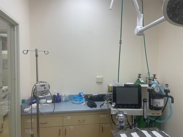 Images VCA Irvine Boulevard Animal Hospital