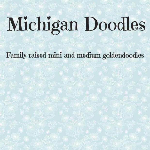 Images Michigan Doodles