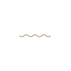Gold River Dental