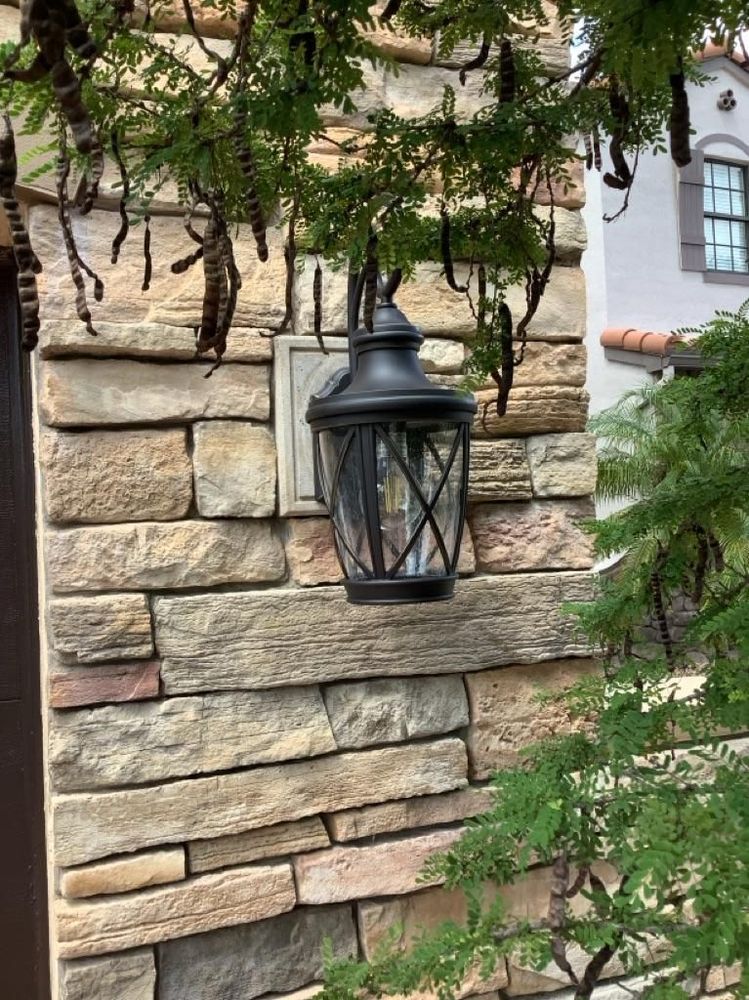 Brite Sparx Electric Image