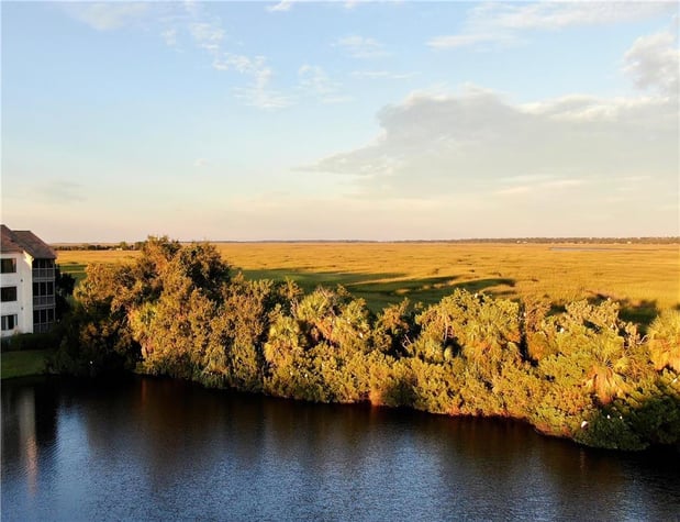 Images Sea Palms Resort St Simons Island