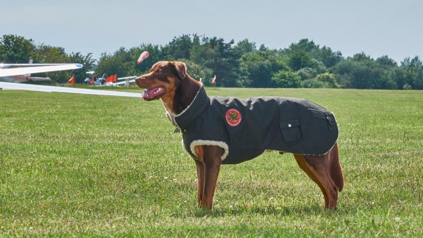 Images Sadelmageren.nu v. Eya Andersen