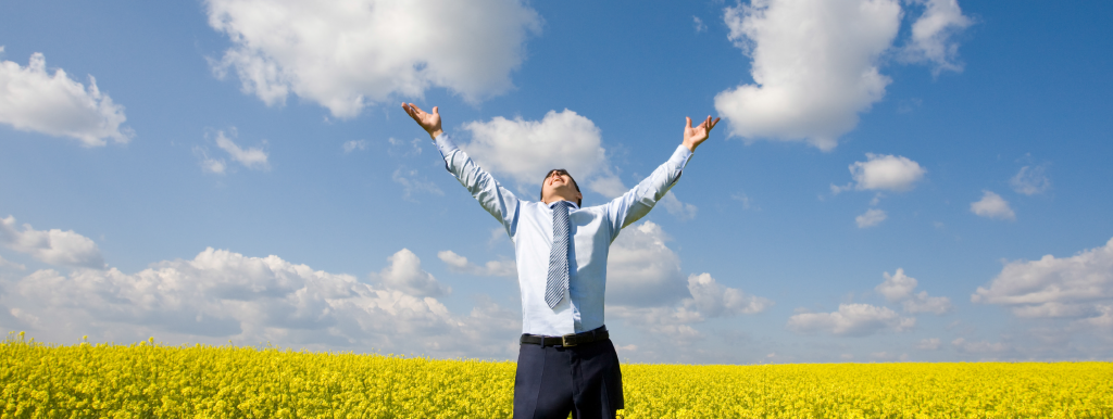 Bild 4 von Wolfgang Höhn