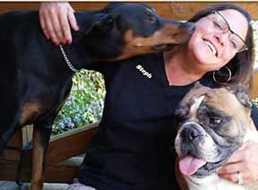 Images Stephanies Dog Training