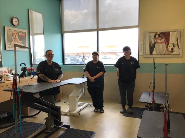 Images Petco Grooming