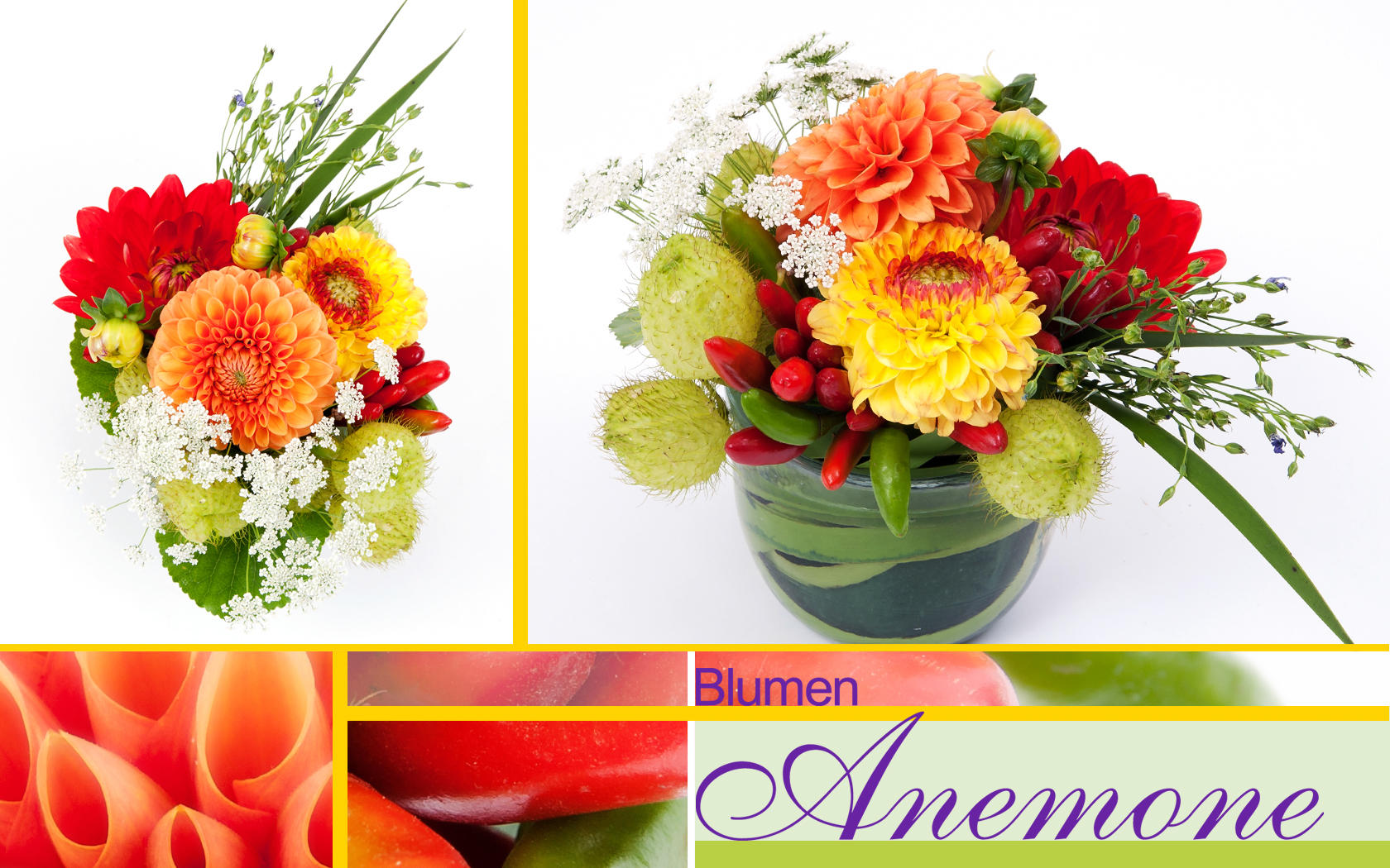 Bild 4 Blumen Anemone in München
