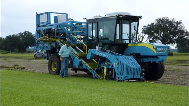 Images Tater Farms, LLC