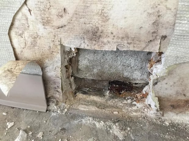 Images The Ultimate Company