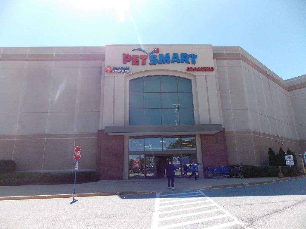 Petsmart concord pike best sale