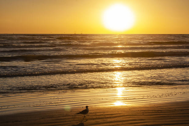 Images Holiday Inn Resort South Padre Island-Beach Front by IHG