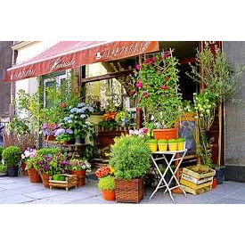 Flower Delivery Brooklyn