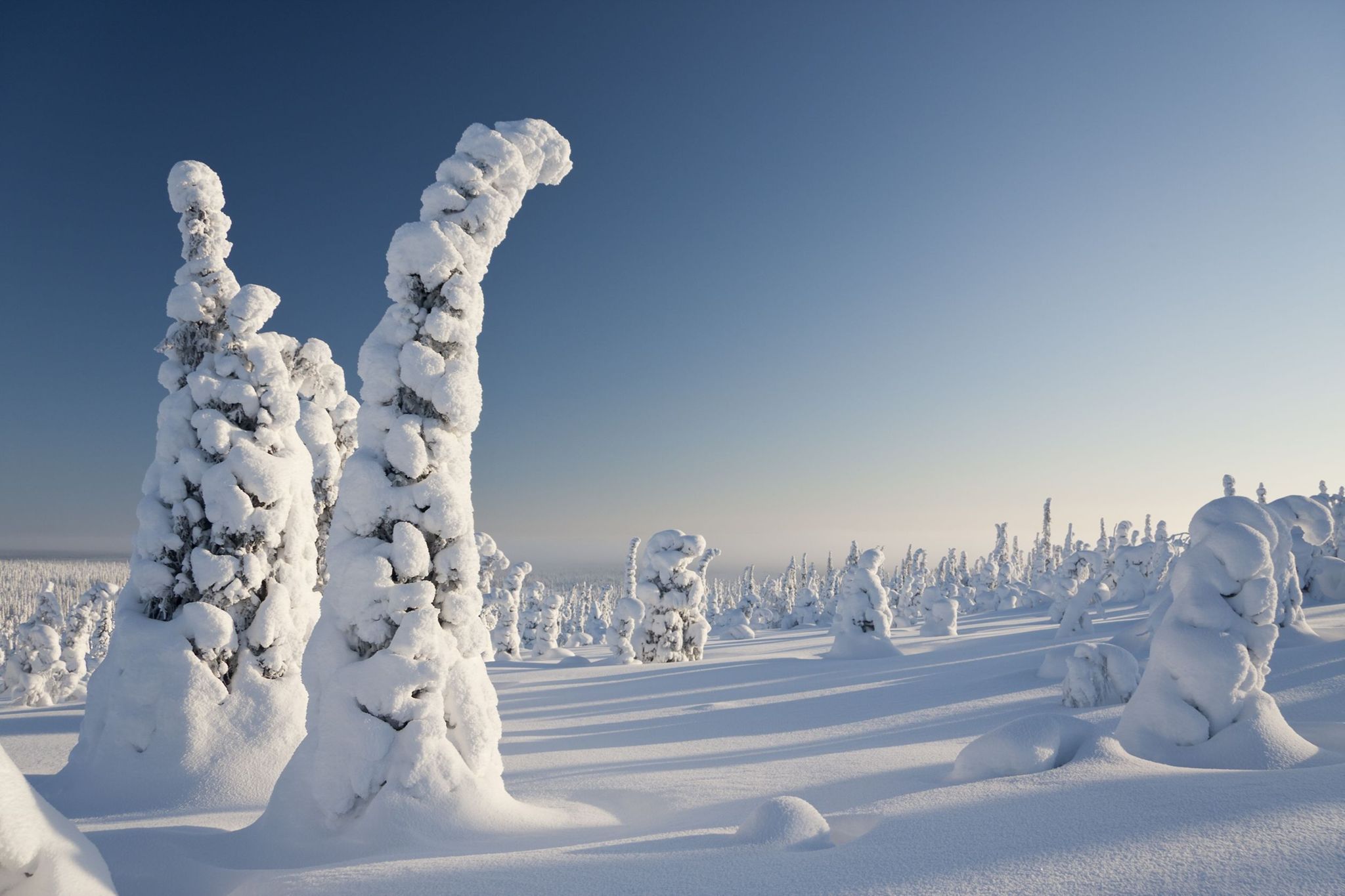 Images Ukonjärven Lomakylä