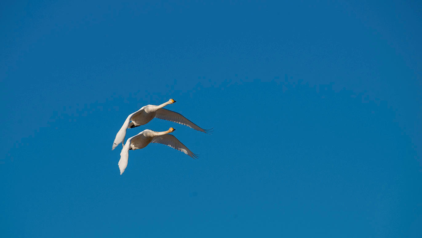 Images Dj Foto och Video - Fotograf Umeå