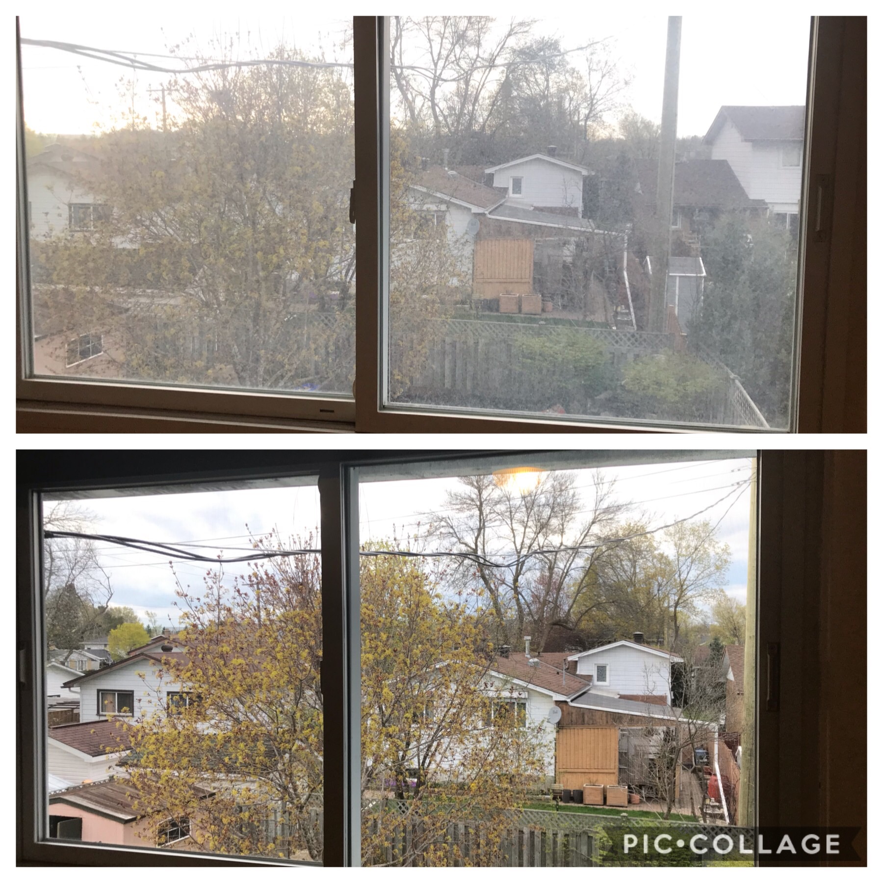 Will Clean And Maintenance