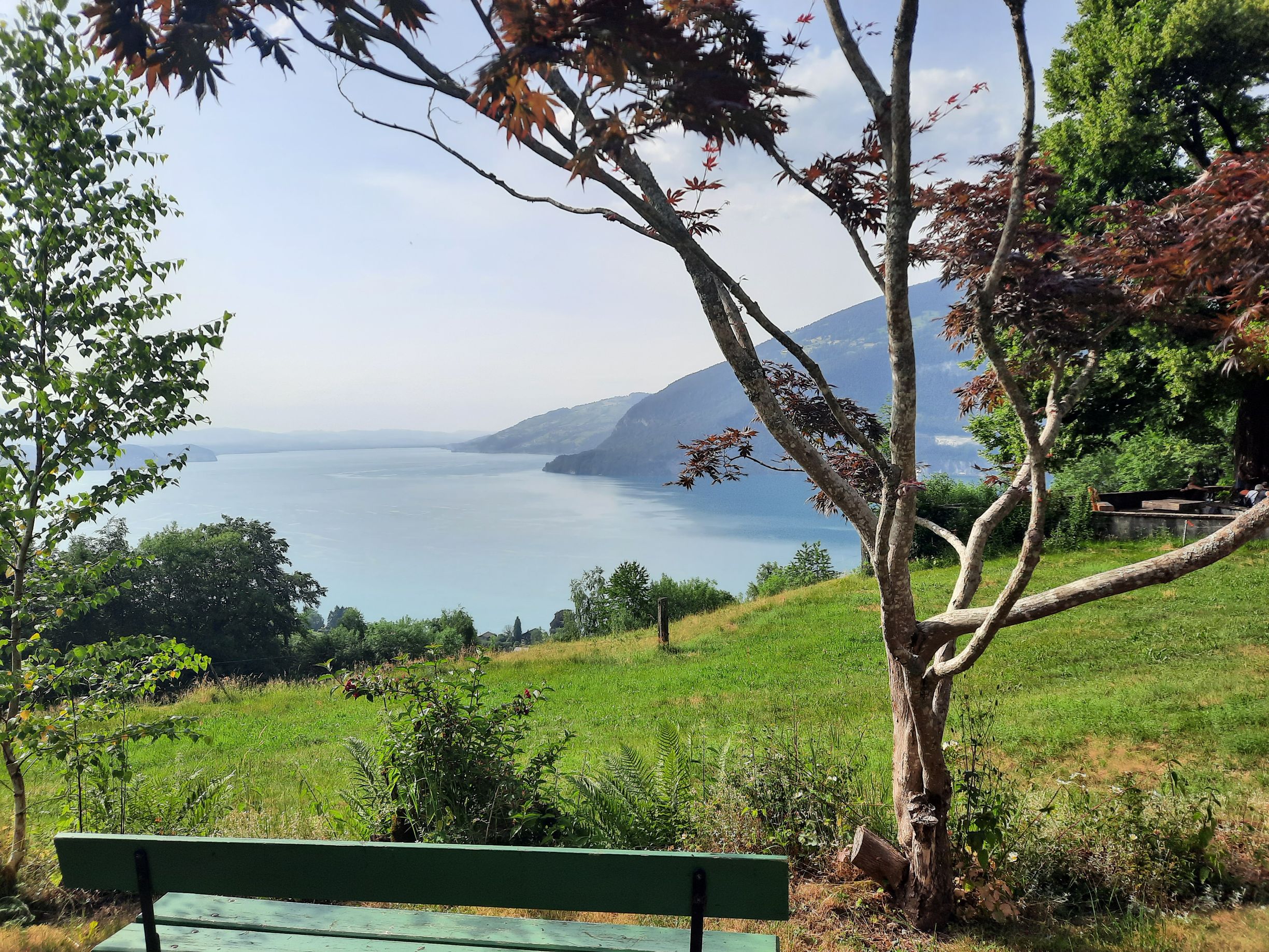Bilder Pension Finel