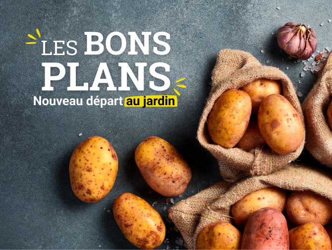 NOUVEAU Catalogue Janvier 2026