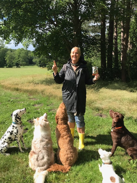 Hundecollege Hamburg, Farnstieg 9 in Hamburg