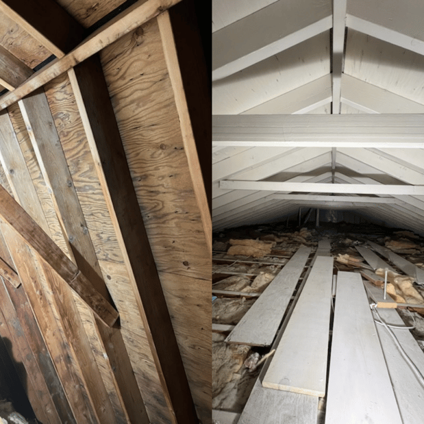 Images Quality Mold Remediation LLC