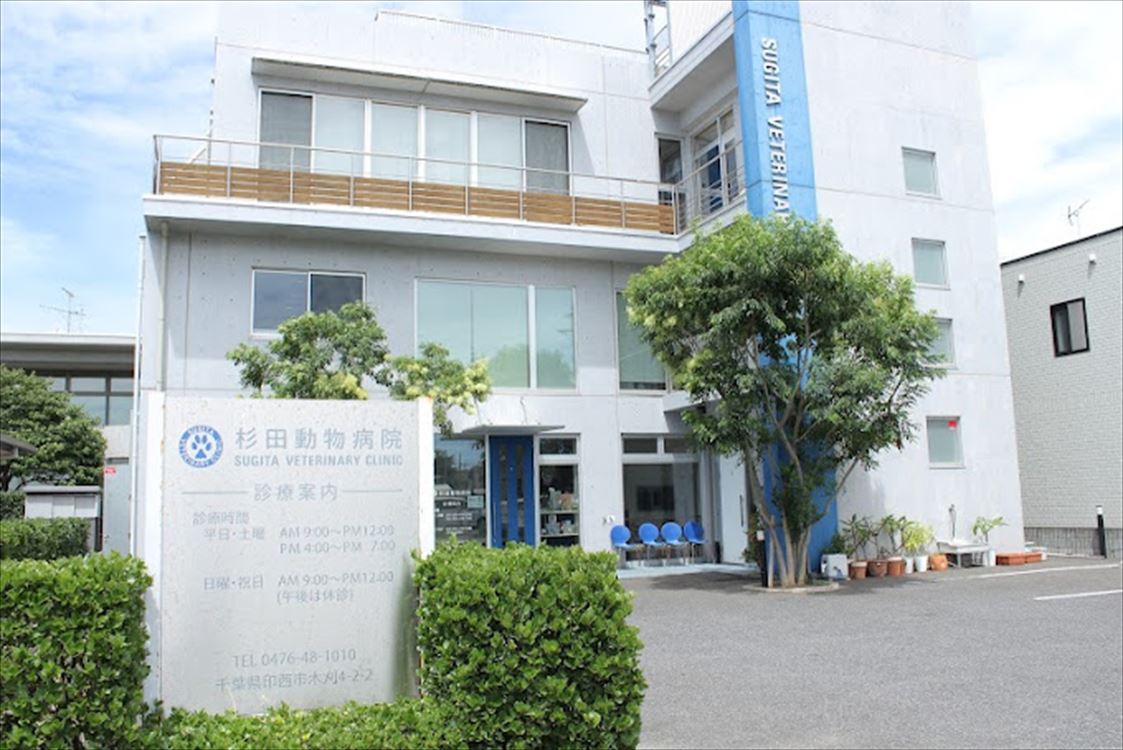 Images 杉田動物病院