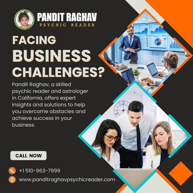 Images Pandit Raghav Psychic Reader Indian astrologer