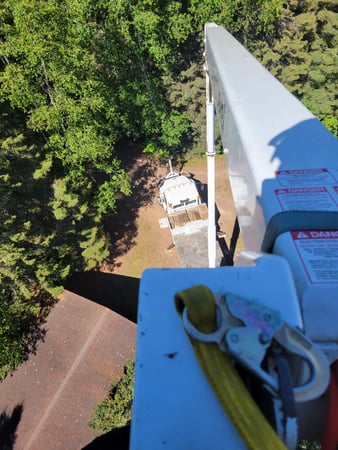 Images McMillan Tree Service