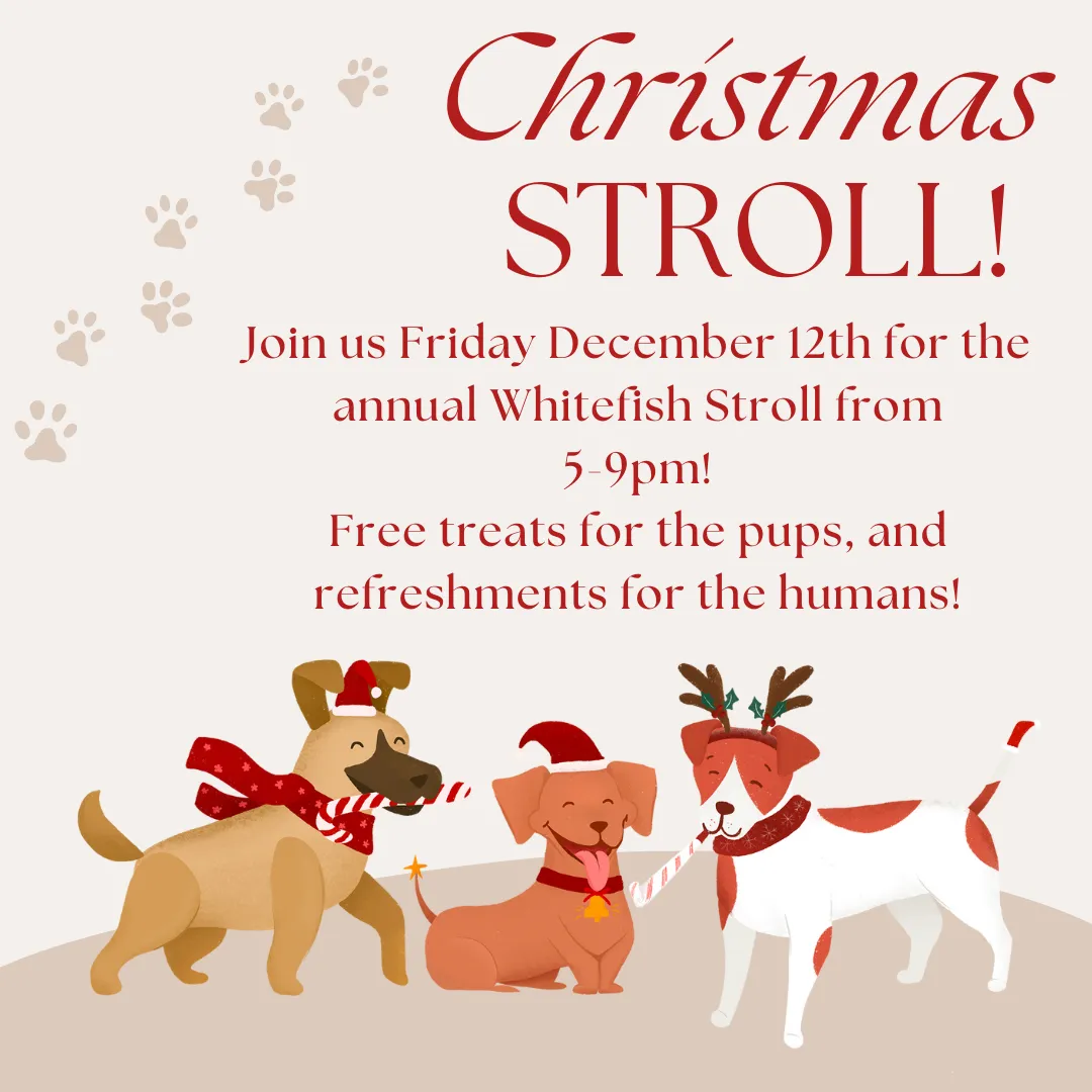 Image of Local Pet Event Whitefish Christmas Stroll Nearby
