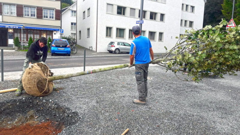 Gartenbau Mäder AG, Mesmerenweg 4 in Thal