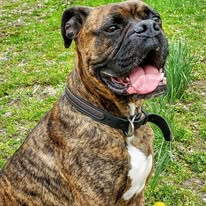 Center Peace Farm Image