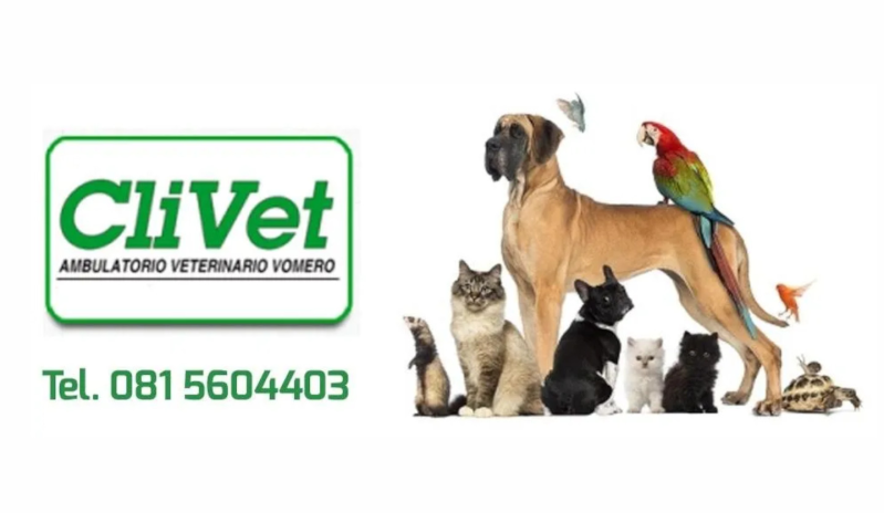 Images Clivet Ambulatorio Veterinario Vomero